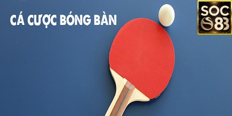 Cá cược bóng bàn online Hiểu rõ luật chơi và đặc điểm môn bóng bàn