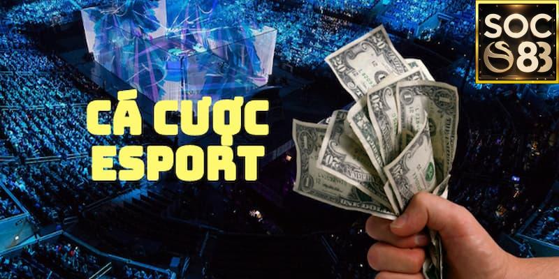 Cá cược esport cùng SOC88 Lời khuyên khi cá cược esport cùng SOC88