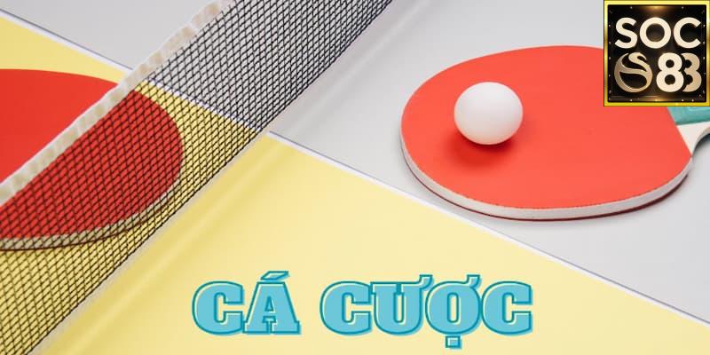 Cá cược bóng bàn online Lợi thế khi cá cược bóng bàn online